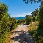 Vikendica Casa Ondina - Private House With Jacuzzi & Garden In Istria